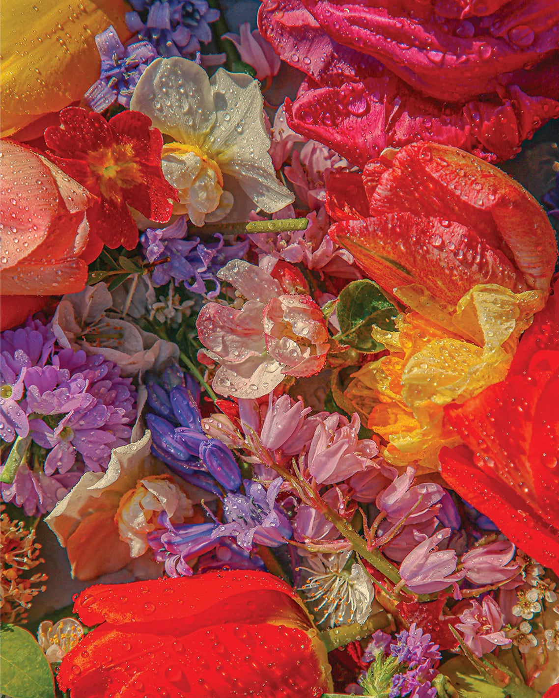 Blossom 1000 Piece Puzzle