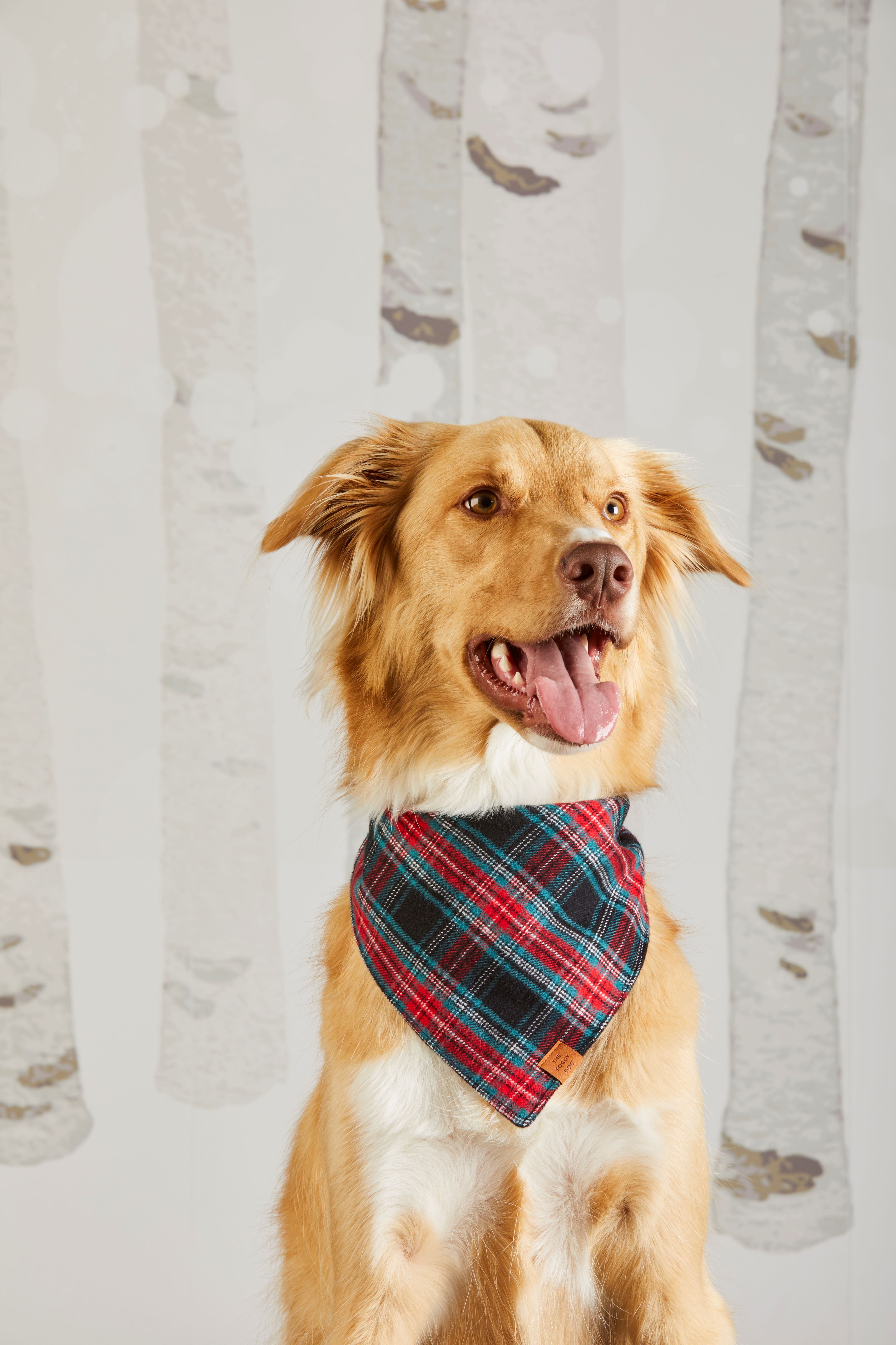 DJ x TFD Bandana in Georgia Plaid