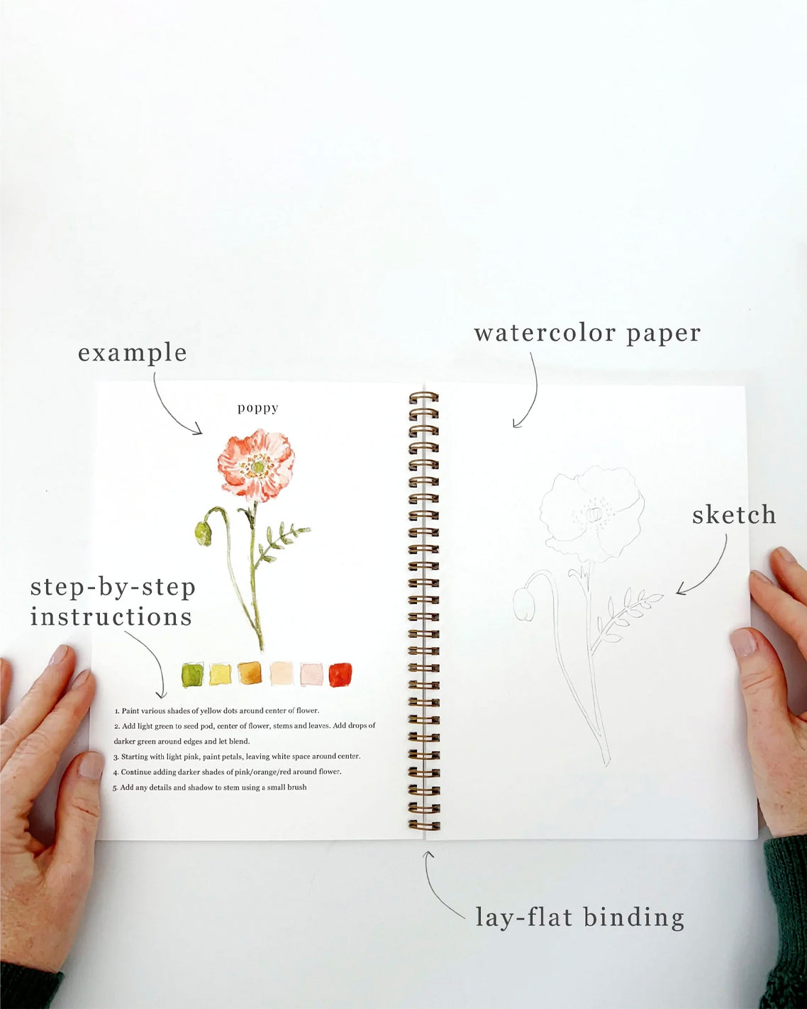 Flowers Watercolor Workbook