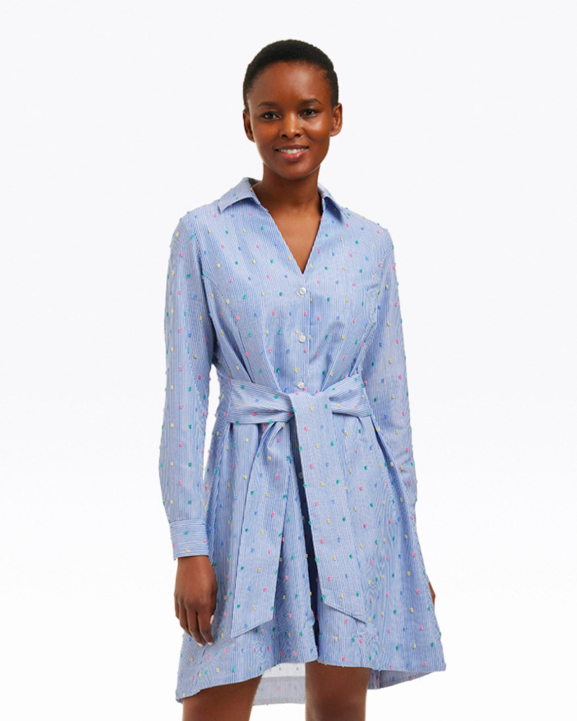 Layla Shirtdress in Blue Stripe